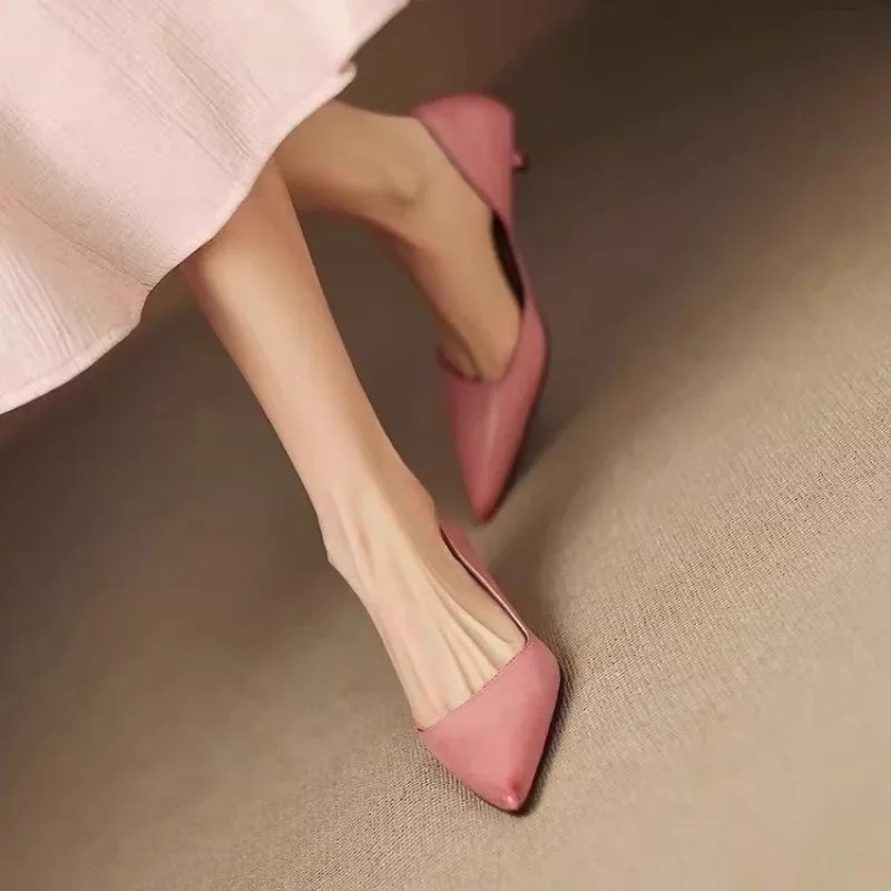 Women's Pointed Toe Stiletto H - огляд і ціна Women'S Heels